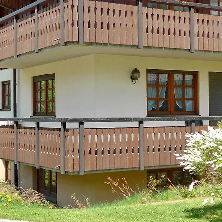Gastehaus Kaiser 2* Menzenschwand
